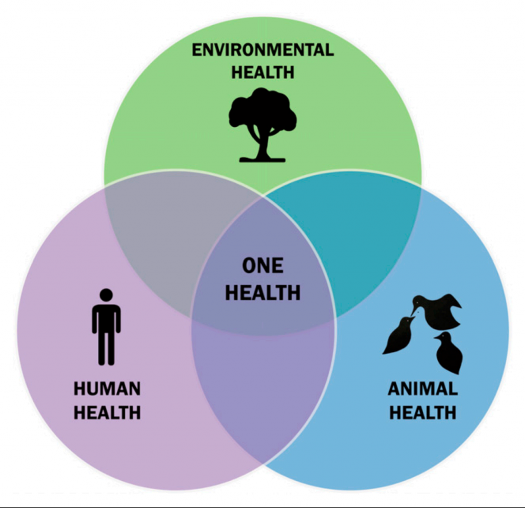 Venn diagram showing the interconnectedness of human, animal, and environmental health